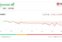 VN-Index “chia tay” mốc 1.320 điểm, nhóm chứng khoán ngược dòng thành công 
