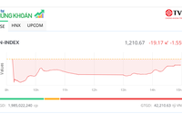 Lực mua ấn tượng kéo VN-Index hy vọng trở lại
