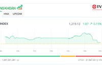 Thị trường "hụt hơi", nhiều mã nhỏ vẫn nóng
