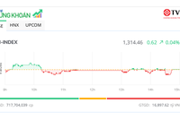 Thị trường giằng co, cổ phiếu vừa và nhỏ hút tiền 