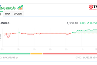 Cổ phiếu Vingroup “độc diễn” 