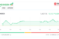 Ngày vui kéo dài, VN-Index tăng thêm hơn 12 điểm