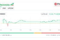 Cổ phiếu bất động sản nổi sóng, thị trường tiếp tục tăng tốc