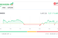 Cổ phiếu vừa và nhỏ nổi sóng, VN-Index áp sát đỉnh 1.500 điểm 