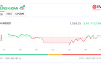 Cổ phiếu vừa và nhỏ nổi sóng, VN-Index nối dài mạch tăng điểm 