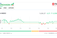 Hàng loạt cổ phiếu vừa và nhỏ nổi sóng, thị trường hồi phục sắc xanh 