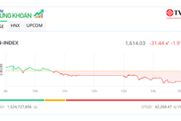Cổ phiếu ngân hàng đồng loạt giảm mạnh, VN-Index lùi về sát mốc 1.610 điểm 