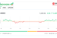 Nhóm chứng khoán đua nhau khởi sắc trong phiên chiều 28/8