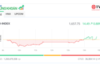 VN-Index hồi phục mạnh mẽ, tăng hơn 53 điểm trong phiên
