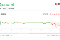 Cổ phiếu VIC tăng sát trần, VN-Index vẫn lùi về mốc 1.670 điểm 