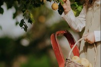 Mức chi trung bình toàn cầu cho mỗi đợt nghỉ hưu tạm thời lên tới 339.800 USD