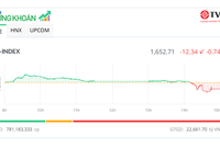 Sắc đỏ bao trùm, chỉ số VN-Index giảm về sát mốc 1.650 điểm 