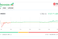 Cổ phiếu bất động sản nổi sóng lớn, VN-Index tăng gần 20 điểm