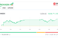 Sắc xanh lan tỏa, cổ phiếu vừa và nhỏ dậy sóng