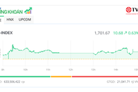 VN-Index vượt mốc 1.700 điểm, nhiều cổ phiếu nhỏ nổi sóng