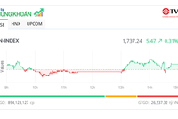 Sắc xanh lan tỏa, VN-Index tăng phiên thứ bảy liên tiếp