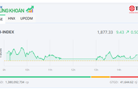 Bank - chứng - thép trở lại, VN-Index tiếp tục lập đỉnh mới 