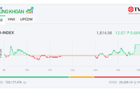 Nhiều nhóm ngành khởi sắc, thị trường hồi phục