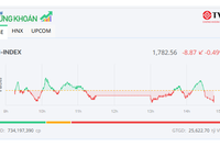 Cổ phiếu Vingroup tím lịm, thị trường vẫn mất điểm 