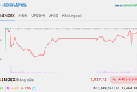 Cổ phiếu VIC giúp VN-Index "tìm lại" cân bằng