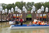 Trà Sư - Tâm điểm vọng cảnh với vẻ đẹp nguyên sinh thu hút hàng triệu du khách thập phương