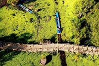 Cận cảnh cây cầu dài nhất Việt Nam xuyên qua rừng tràm Trà Sư