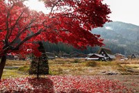 Từ 18/9/2020, Vietnam Airlines sẽ khai thác trở lại các chuyến bay quốc tế