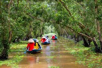 Rừng Tràm Trà Sư - Nơi hòa quyện tình yêu giữa con người và thiên nhiên