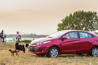 Tháng 11, mỗi ngày người Việt tiêu thụ hơn 1.000 ô tô