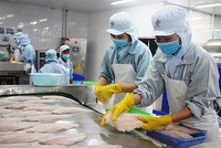 Xuất khẩu thủy sản năm 2021 dự kiến đạt 8,8 tỷ USD