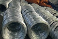 Đề nghị miễn trừ thuế chống bán phá giá thép cán nguội