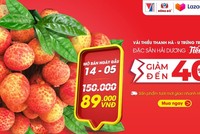 Vải thiều Thanh Hà lên sàn thương mại điện tử Lazada