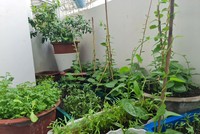 Làm gì để vượt qua căng thẳng, giải nhiệt cuộc sống trong ngày giãn cách