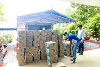 Tân Hiệp Phát tiếp sức kênh phân phối vượt khó