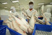 Phó tổng I.D.I sắp trở thành cổ đông lớn của công ty sau hơn 10 năm đầu quân