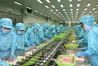 IDI ước lãi 80 tỷ đồng lợi nhuận sau thuế trong quý 4/2021