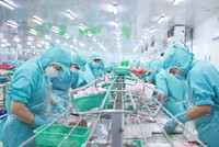 IDI tấp nập cho một mùa kinh doanh thuận lợi.