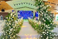 Rực rỡ giữa thiên đường hoa.