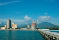 Xi măng Vicem Hải Vân lỗ nặng, cổ phiếu bị đưa vào diện kiểm soát.