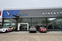 Sở hữu 6 đại lý đạt tiêu chuẩn 3S của Vinfast gồm VFG Kim Giang (Hà Nội), VFG Ninh Bình, VFG Vĩnh Phúc (Phú Thọ), VFG Cần Thơ, VFG An Giang và VFG Lâm Đồng, VFG đang bứt phá mạnh mẽ trên thị trường phân phối ô tô điện Vinfast.