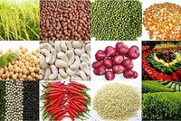 Thị trường hàng hóa tuần 22-26/4: Nông sản trượt giá, cao su trở lại đà tăng sau một tuần mất điểm