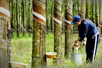 Thị trường hàng hóa tuần 6 - 10/5: Lại nóng căng thẳng Mỹ - Trung