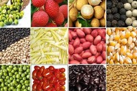 Thị trường hàng hóa tuần 27-31/5: Nông sản vào mùa