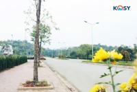 Mua nhà tháng 7 Âm lịch, thời điểm vàng hưởng lợi lớn