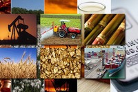 Thị trường hàng hóa tuần từ 28/10 – 1/11: Café tiếp đà tăng giá, thị trường chờ đợi động thái FED 