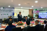 Bamboo Capital (BCG) đẩy mạnh cuộc chơi bất động sản