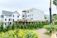 Kosy Lào Cai tung nhiều ưu đãi lớn cho khách hàng trong tháng Vu Lan