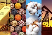 Thị trường hàng hóa bước vào siêu chu kỳ tăng giá Supercycle?