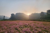 "Đẹp quên lối về" giữa miền di sản Tây Bắc – Đông Bắc