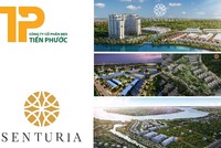 Tập đoàn Tiến Phước báo lỗ nặng 2023